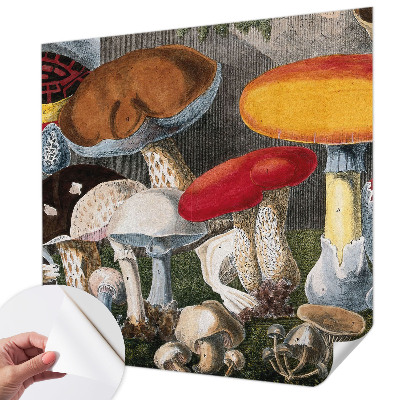 Fototapet autoadeziv pentru living cu motiv cu ciuperci botanice