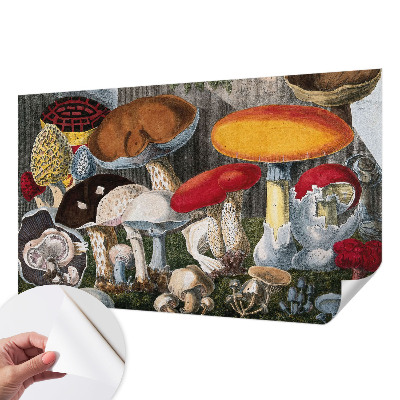 Fototapet autoadeziv pentru living cu motiv cu ciuperci botanice