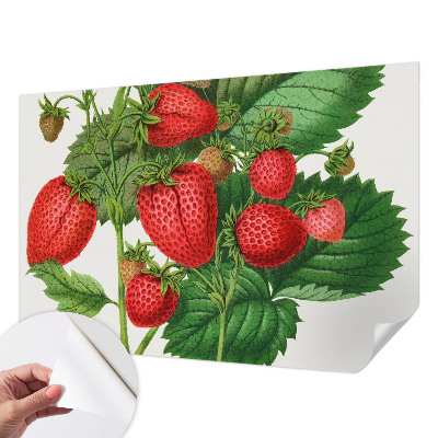 Fototapet autoadeziv cu motive de fructe de vară