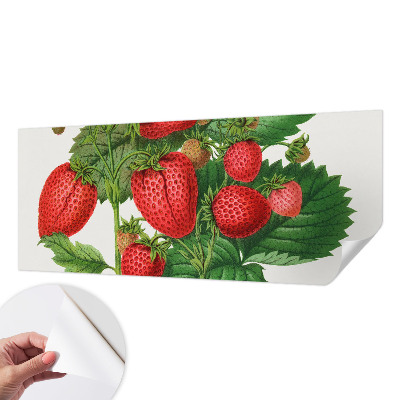 Fototapet autoadeziv cu motive de fructe de vară