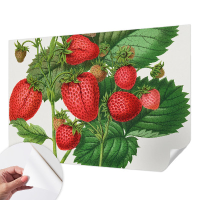 Fototapet autoadeziv cu motive de fructe de vară
