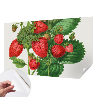 Fototapet autoadeziv cu motive de fructe de vară
