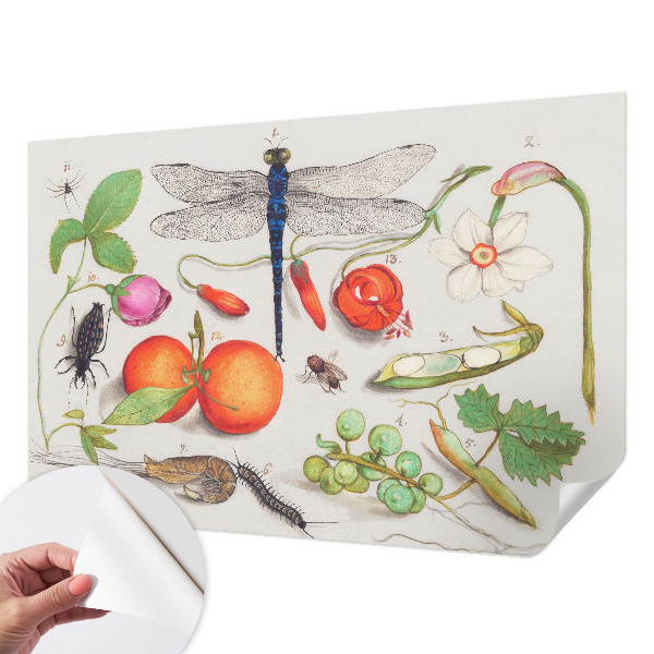 Fototapet autocolant cu ilustrație naturală