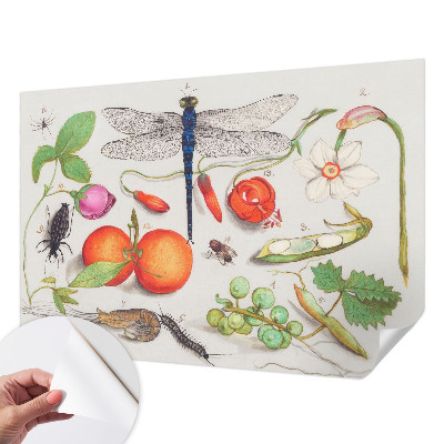 Fototapet autocolant cu ilustrație naturală