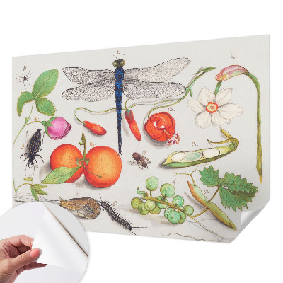Fototapet autocolant cu ilustrație naturală