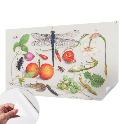 Fototapet autocolant cu ilustrație naturală