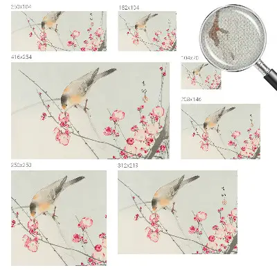 Fototapet 3d Blomsterfugl