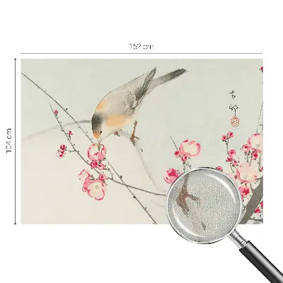 Fototapet 3d Blomsterfugl