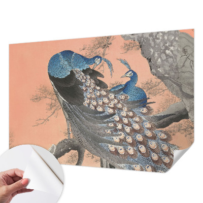 Fototapet 3d pentru living Påfugleagtig elegance