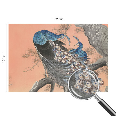 Fototapet 3d pentru living Påfugleagtig elegance