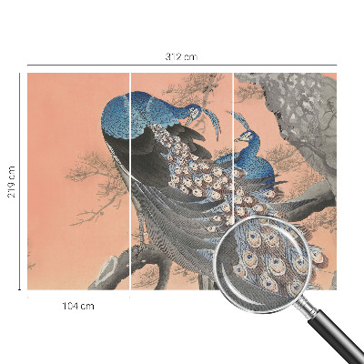Fototapet 3d pentru living Påfugleagtig elegance