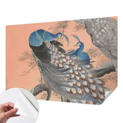 Fototapet 3d pentru living Påfugleagtig elegance