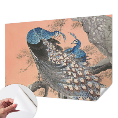 Fototapet 3d pentru living Påfugleagtig elegance