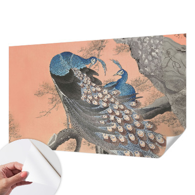 Fototapet 3d pentru living Påfugleagtig elegance