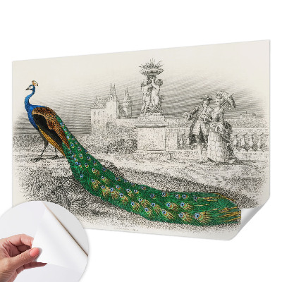 Fototapet 3d pentru dormitor cu model de pene colorate