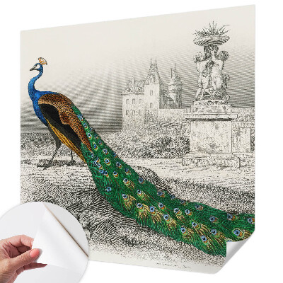 Fototapet 3d pentru dormitor Farverige fjer