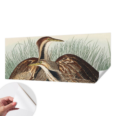 Fototapet 3d autoadeziv Realistiske fugle