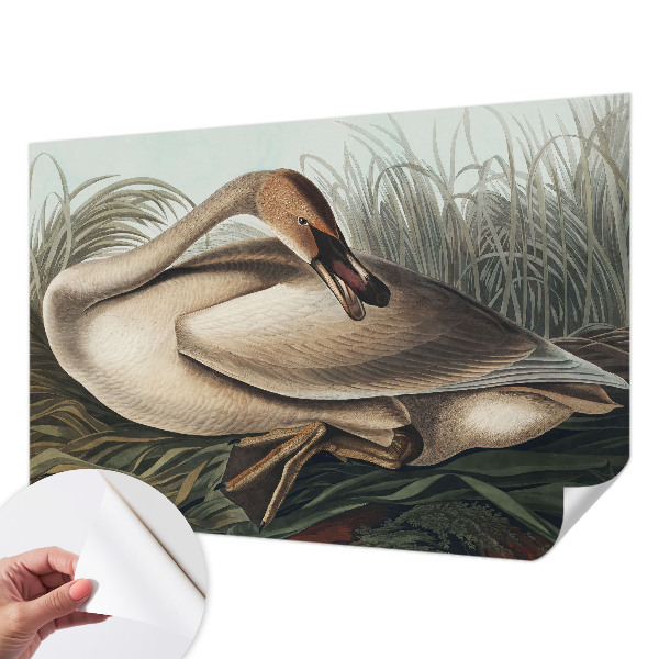 Fototapet 3d pentru living Naturlig fugl