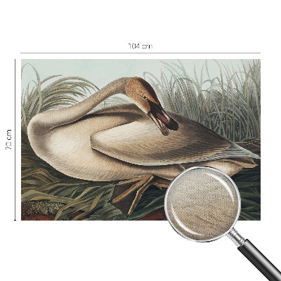 Fototapet 3d pentru living Naturlig fugl