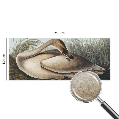 Fototapet 3d pentru living Naturlig fugl