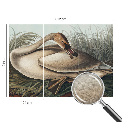 Fototapet 3d pentru living Naturlig fugl