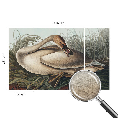 Fototapet 3d pentru living Naturlig fugl