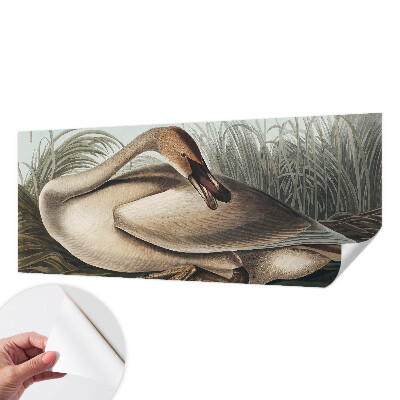 Fototapet 3d pentru living Naturlig fugl