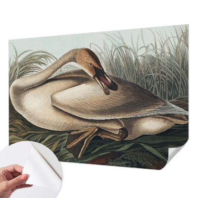 Fototapet 3d pentru living Naturlig fugl