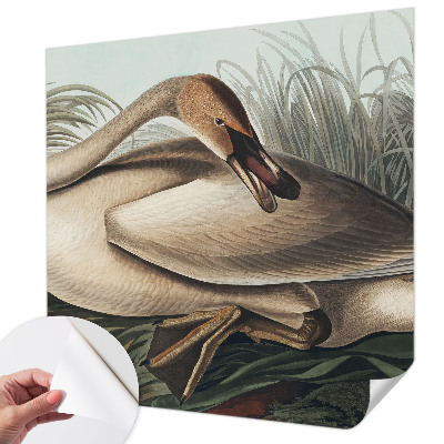 Fototapet 3d pentru living Naturlig fugl