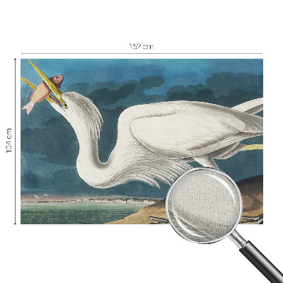Fototapet autoadeziv pentru camera copiilor Fugl med fisk