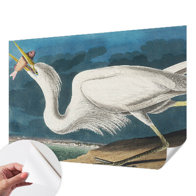 Fototapet autoadeziv pentru camera copiilor Fugl med fisk