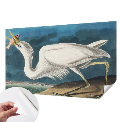 Fototapet autoadeziv pentru camera copiilor Fugl med fisk