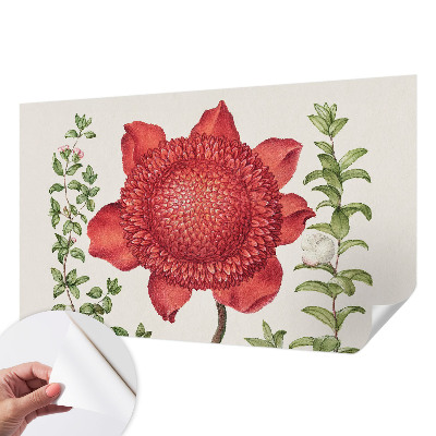 Fototapet autocolant cu motive florale într-un design elegant