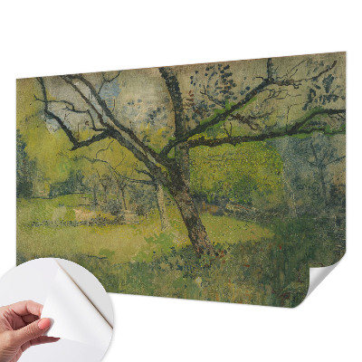 Fototapet 3d autoadeziv Grønt landskab