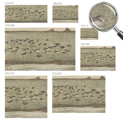 Fototapet 3d pentru living Fuglens fred