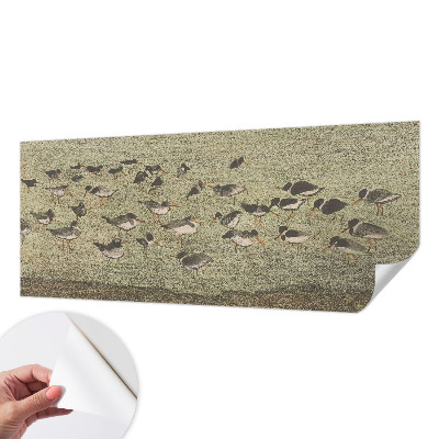 Fototapet 3d pentru living Fuglens fred