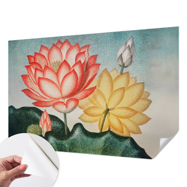 Fototapet autoadeziv cu motiv cu flori de lotus