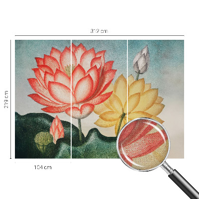 Fototapet autoadeziv cu motiv cu flori de lotus
