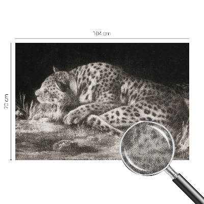 Fototapet autoadeziv Leopard hviler sig