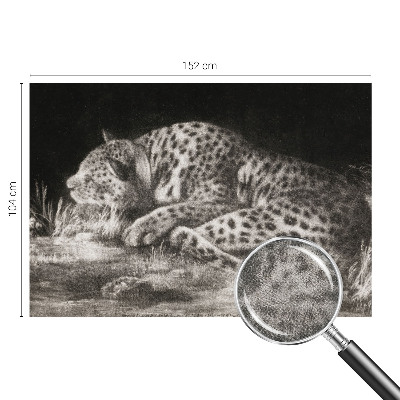 Fototapet autoadeziv Leopard hviler sig