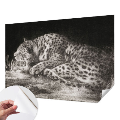 Fototapet autoadeziv Leopard hviler sig