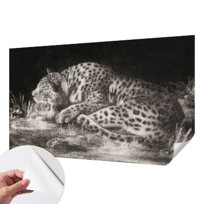 Fototapet autoadeziv Leopard hviler sig