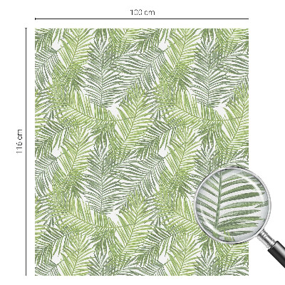 Folie geam să nu se vadă din exterior Modele de plante