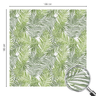 Folie geam să nu se vadă din exterior Modele de plante