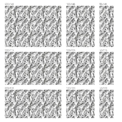 Folie geam să nu se vadă din exterior Frunze tropicale