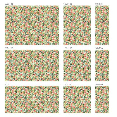 Folie decorativă geam Model de fructe