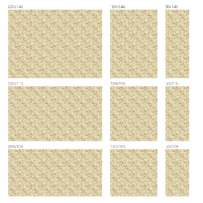 Folie geam să nu se vadă din exterior Eleganță florală