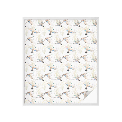 Folie decorativă geam Păsări în natură