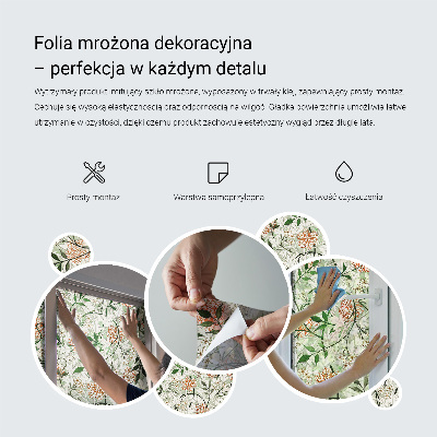 Autocolant vitraliu pentru geam Eleganță simplă