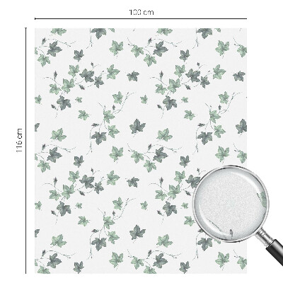 Folie geam să nu se vadă din exterior Viță verde